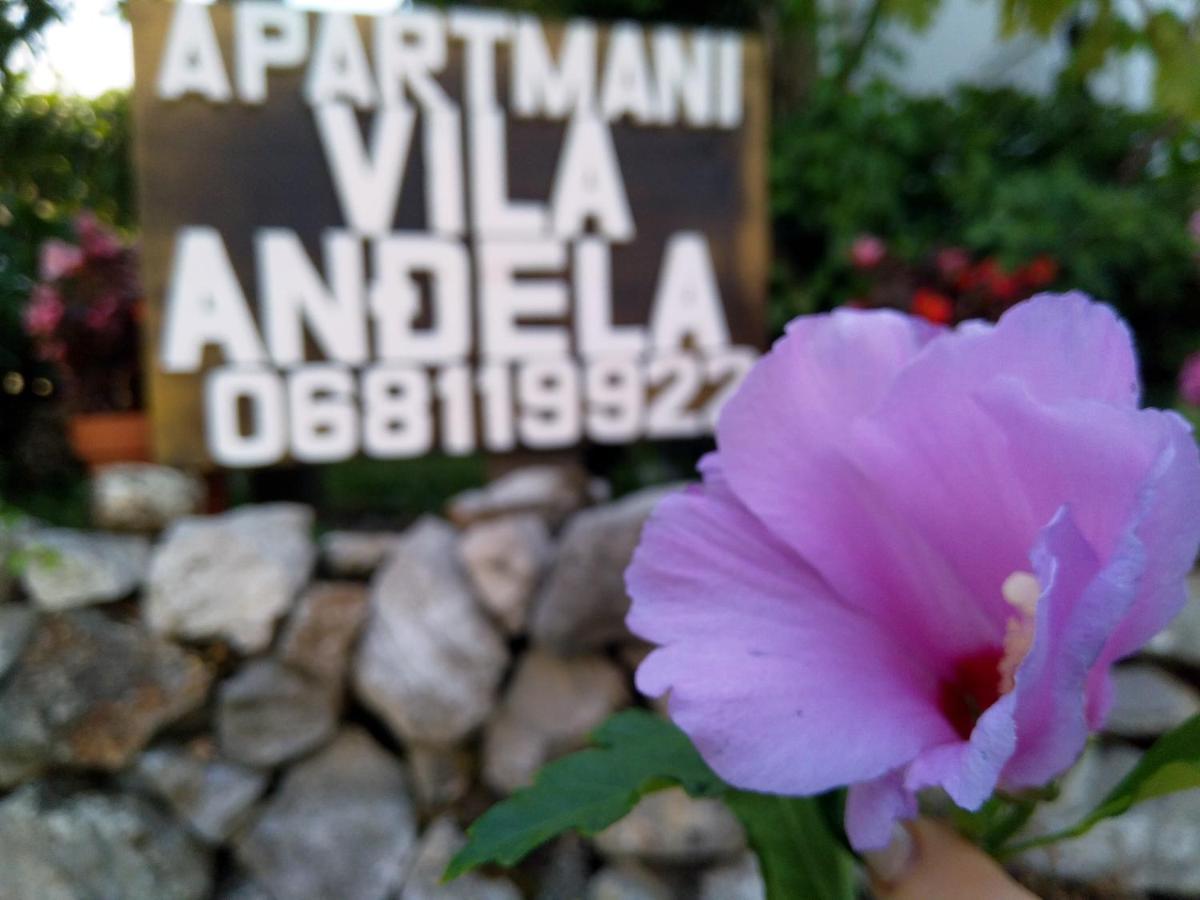 Apartments Villa Andjela Budva Exteriör bild