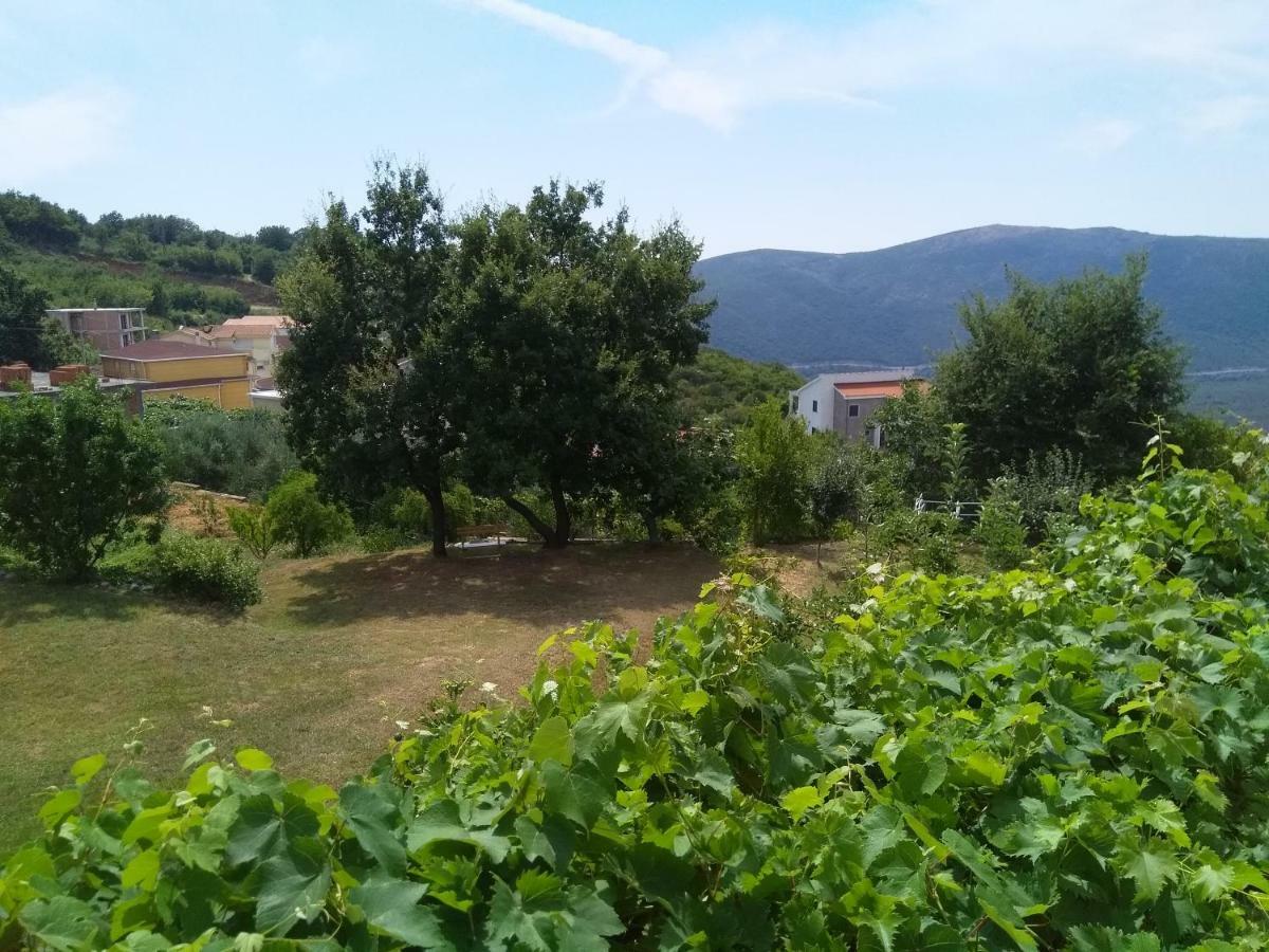 Apartments Villa Andjela Budva Exteriör bild